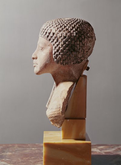 Venstre profil af hovedet af en prinsesse fra familien Akhenaten, New Kingdom (malet kalksten) (se også 107940, 116813, 370211) af Egyptian 18th Dynasty