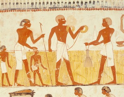 Måling af landet ved hjælp af reb, fra gravkapellet i Menna, New Kingdom (vægmaleri) (se også 251666) af Egyptian 18th Dynasty