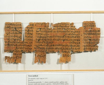 Medicinsk recept skrevet på papyrus af Egyptian 18th Dynasty