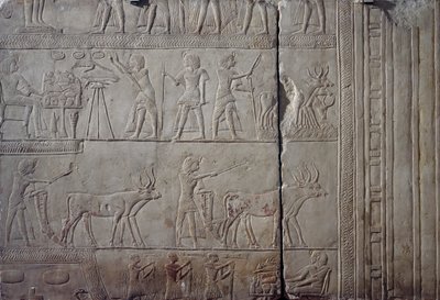 Farao Horemheb, afbildet mens han udfører landbrugsarbejde på markerne i Iaru og modtager høsten fra bønderne, vægrelief af kalksten, fra Horemhebs memfitgrav i Saqqara, Egyptisk civilisation, Det Nye Rige, XVIII. dynasti af Egyptian 18th Dynasty