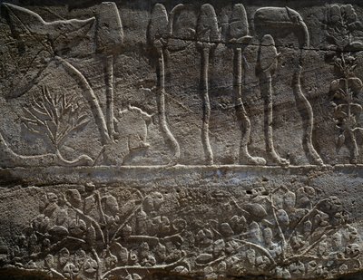 Planter bragt tilbage fra Thutmose III