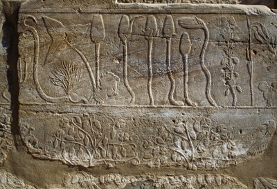 Relief af dyr og planter, som Thutmose III ofrede til Amon, da han vendte tilbage fra sit felttog i Syrien i 1465 f.Kr, Botanical Garden Room, Karnak, Theban Necropolis, Luxor, Egypten, Det Nye Rige, XVIII. dynasti af Egyptian 18th Dynasty