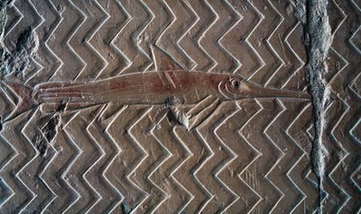 Repræsentation af fisk, scener fra Kongeriget Punt, sydvæggen i den centrale søjlegang, Hatshepsuts gravtempel, Deir el-Bahari, Luxor, Theben (Unesco