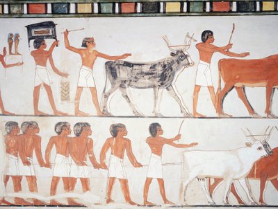 Hyrder og kvæg, fresko, sydvæg, langsgående kammer, Theban Tomb TT69, Sheikh Abd el-Qurna, Theben (Unesco