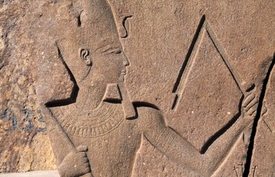 Blok med relieffer og inskriptioner af Ramses II, Det store Amon-tempel, Tanis, Egypten, Egyptisk civilisation, Det Nye Rige, XIX. dynasti af Egyptian 19th Dynasty