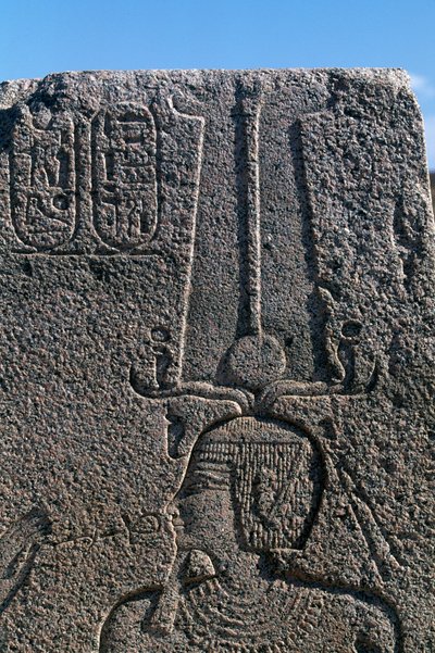Blok med relieffer og inskriptioner af Ramses II, Det store Amon-tempel, Tanis, Egypten, Egyptisk civilisation, Det Nye Rige, XIX. dynasti af Egyptian 19th Dynasty