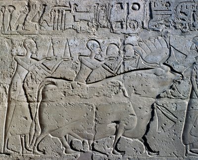 Figurer, der symboliserer minedistrikter, der bringer deres hyldest til gud, relief, Ramesses II Courtyard, Amun-templet (Unescos verdensarvsliste) af Egyptian 19th Dynasty