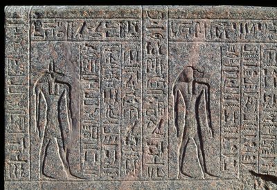 Afbildning af Anubis, detalje af indskrift og relief af Anubis og en anden gud, Amenhoteps sarkofag, Memphis, Egypten, Det Nye Rige, XIX. dynasti af Egyptian 19th Dynasty