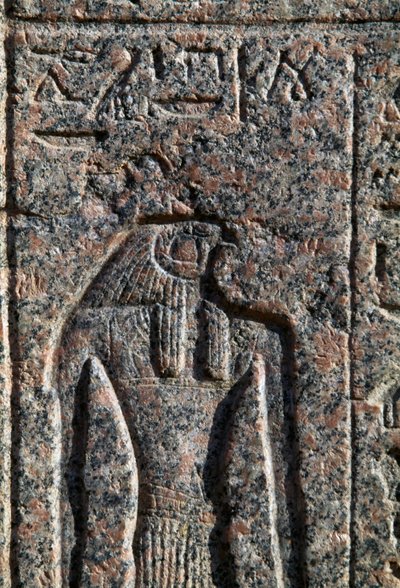 Afbildning af Horus, inskription og relief af Horus og Thot, Amenhoteps sarkofag, Memphis, Egypten, Det Nye Rige, XIX. dynasti af Egyptian 19th Dynasty