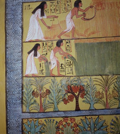 Detalje af en høstscene på østmuren fra Sennedjems grav, The Workers Village, New Kingdom (vægmaleri) (se også 19829-30 & 67891) af Egyptian 19th Dynasty