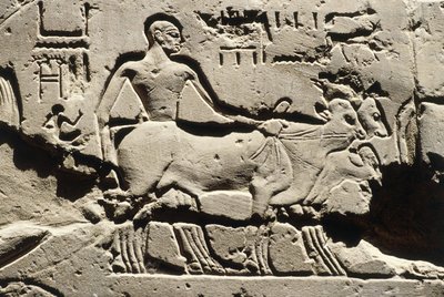 Det gamle Egypten, Luxor, Luxor-templet, Ramses II