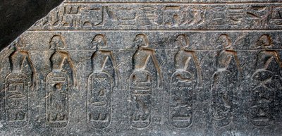 Ægyptisk antikvitet: detalje af et relief med emblemer for de områder, der blev erobret af farao Ramses II (1292-1186 f.Kr.). Templet i Luxor. Østbredden (Theben), Egypten af Egyptian 19th Dynasty