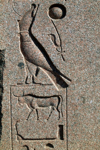Hieroglyf med Horus