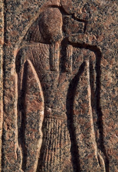 Inskription og relief af Anubis og en anden gud, Amenhoteps sarkofag, Memphis (Unescos verdensarvsliste) af Egyptian 19th Dynasty