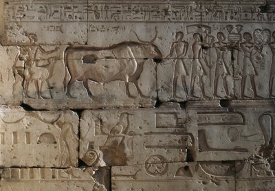 Relief, Ramses II