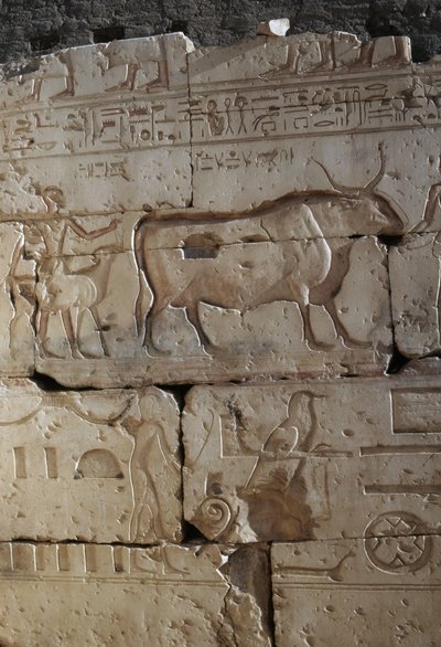Relief, Ramses II