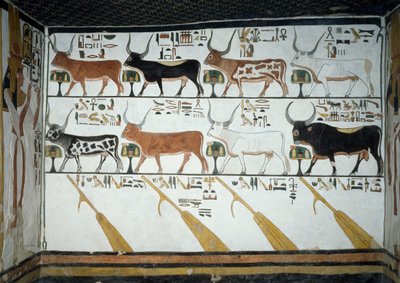 Syv himmelskøer, ægte tyr og fire styrende årer, kapitel 148 i Book of Dead, detaljer fra kalkmalerier i andet kammer i Tomb of Nefertari, Valley of Queens, Luxor, Theben. Egyptisk civilisation, New Kingdom, Dynasti XIX. af Egyptian 19th Dynasty