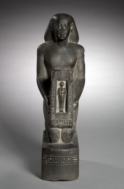 Naophorous statue af finansofficeren og tilsynsførende af felter, Horwedja, 521-486 f.Kr. af Egyptian 27th Dynasty