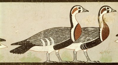 Meidum gæs, fra graven af Nefermaat og Atet, Det Gamle Kongerige, ca. 2620 f.Kr. (malet stuk) af Egyptian 4th Dynasty