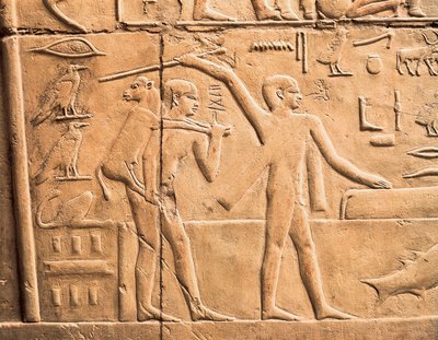 Scener af landbrugsarbejde, detaljer af Egyptian 4th Dynasty