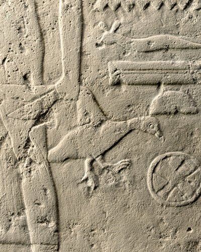 Detalje af relief af Pehenuka, Det gamle kongerige, 2465-2323 f.Kr. (kalksten) (se også 440560, 440566, 440559 og 440564) af Egyptian 5th Dynasty