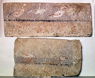 Vægmaleri af fugle, Old Kingdom (malet calcit) af Egyptian 5th Dynasty