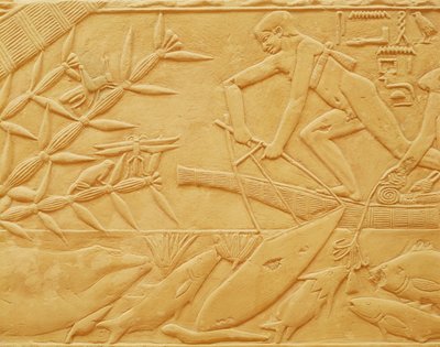 Fiskescene, fra Mastaba i Kagemni, Old Kingdom (kalksten) af Egyptian 6th Dynasty