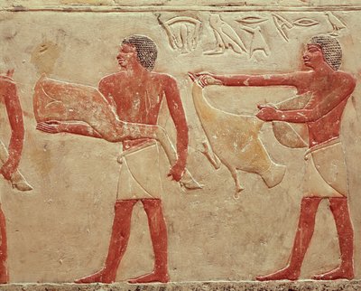 Relief, der viser tjenere, der bærer en bunke oksekød og en and, fra prinsesse Iduts grav, Det gamle kongerige, ca. 2330 f.Kr. (malet kalksten) af Egyptian 6th Dynasty