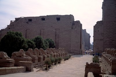 Egyptisk antikvitet: allee (dromos) af criosphinxen (sfinxen i spidsen for beliers) i Karnak, Luxor, Egypten af Egyptian Egyptian