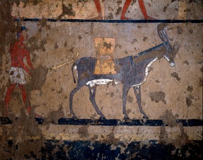 Ægyptisk antikvitet: "" transporten af korn på ryggen af et muldyr""" Tempera maleri af væggen i graven af kansleren for kong Iti (eller Ity) 2200-2000 f.Kr. Fra El Ghebelen, Luxor. Torino, egyptisk museum af Egyptian Egyptian