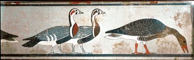 Gæs, detalje af et panel fra Mastaba of Itet, kone til Nefermaat, Meidoum (malet kalksten) af Egyptian Egyptian