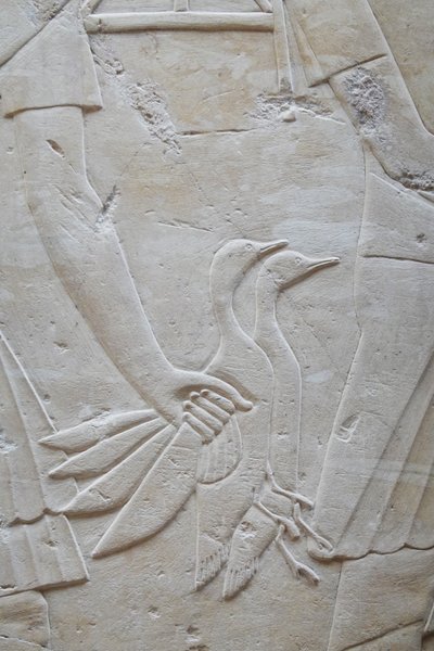 Hånd, der holder 2 gæs i vingerne, Ramoses grav af Egyptian Egyptian