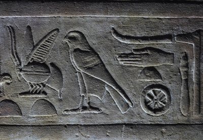 Hieroglyps, Faraos bi og Horus-falken, Horus-templet, Edfu af Egyptian Egyptian
