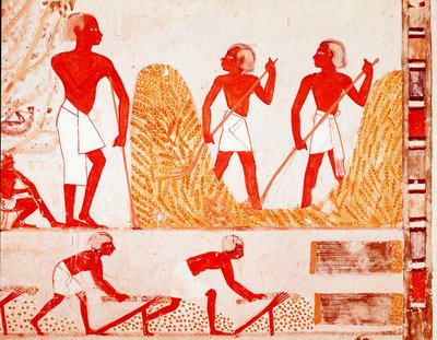 Scene for høst i det gamle Egypten (fresco af Egyptian Egyptian