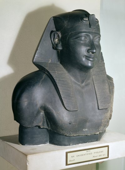 Fragment af en statue i egyptisk stil af Ptolemæus I, 305-283 f.Kr. (basalt) af Egyptian Ptolemaic Period