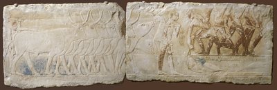 Relief for bønder, der driver kvæg og fiskeri, Det gamle kongerige, 2450-2290 f.Kr. (malet kalksten) af Egyptian School