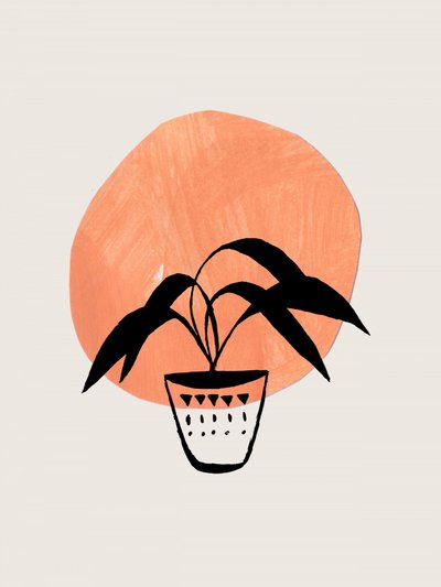 Boho-krukkeplante af Ejaaz Haniff