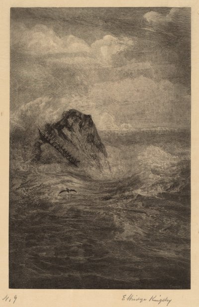 En klippe i havet af Elbridge Kingsley