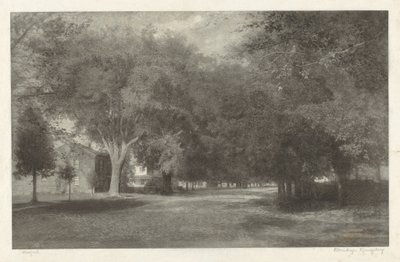 New England Elms af Elbridge Kingsley