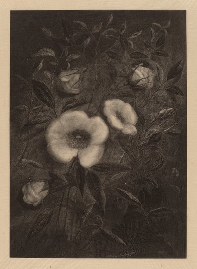 Vilde roser af Elbridge Kingsley