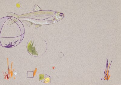 Floating, 2014 (akvarelblyant og bladguld på papir) af Eleanor Grafton