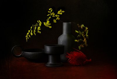 Mørkt botanisk stilleben af Elena Arjona