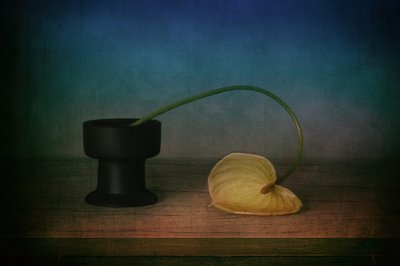 Elegant stilleben med anthurium af Elena Arjona