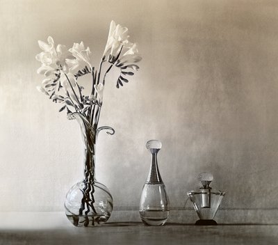 Elegante blomster og parfume af Elena Arjona