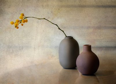 Minimalistiske blomstervaser af Elena Arjona