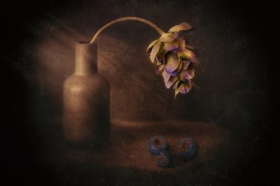 Moody blomstervase af Elena Arjona
