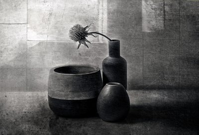 Moody Thistle-skibe af Elena Arjona