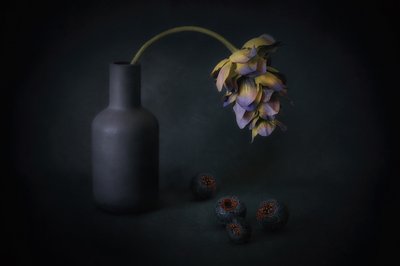 Skyggefulde blomster og bær af Elena Arjona