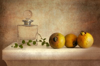 Vintage-stillbillede af guava af Elena Arjona