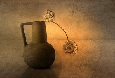 Varme, rustikke tidselblomster af Elena Arjona